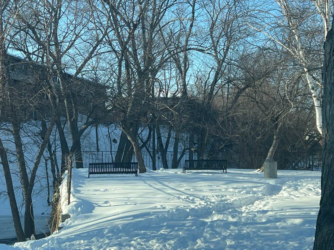 walking near me in Bass Island Park in winter