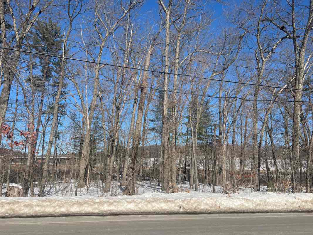 walking near me in Stevens Pond Park in winter