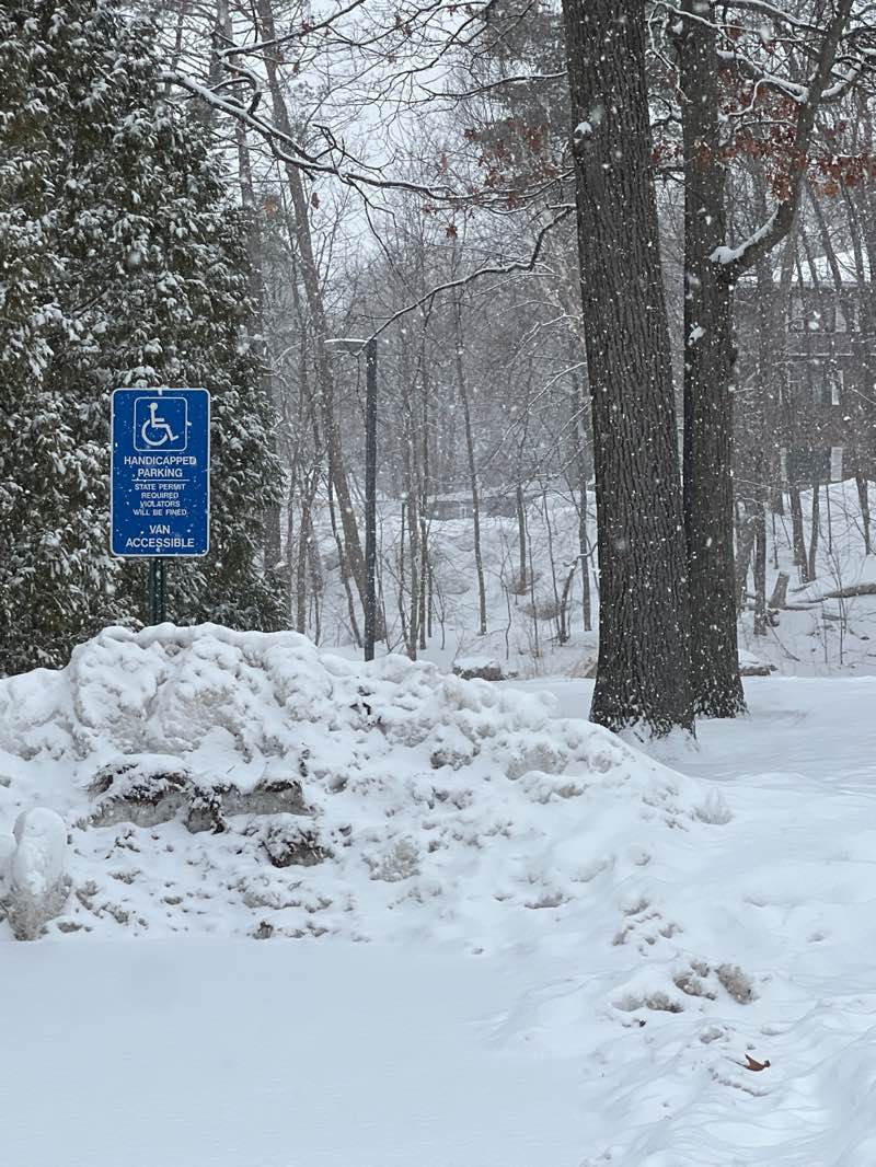 walking near me in Sullivan Family Park in spring