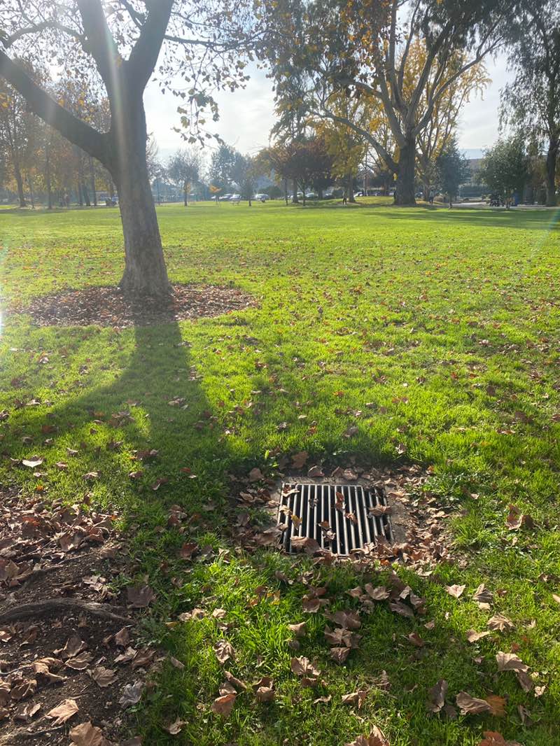 walking near me in Rengstorff Park in winter