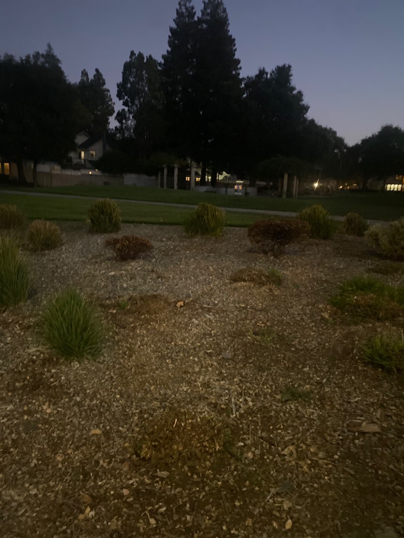 walking near me in Klein Park in autumn