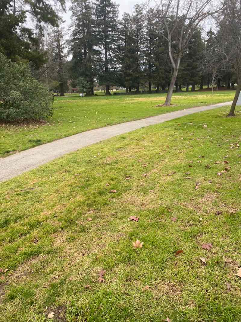 walking near me in Cuesta Park in winter