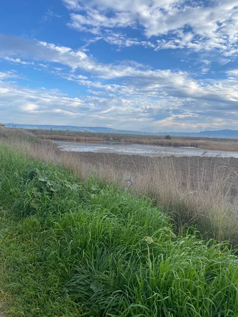 walking near me in Shoreline Park in winter