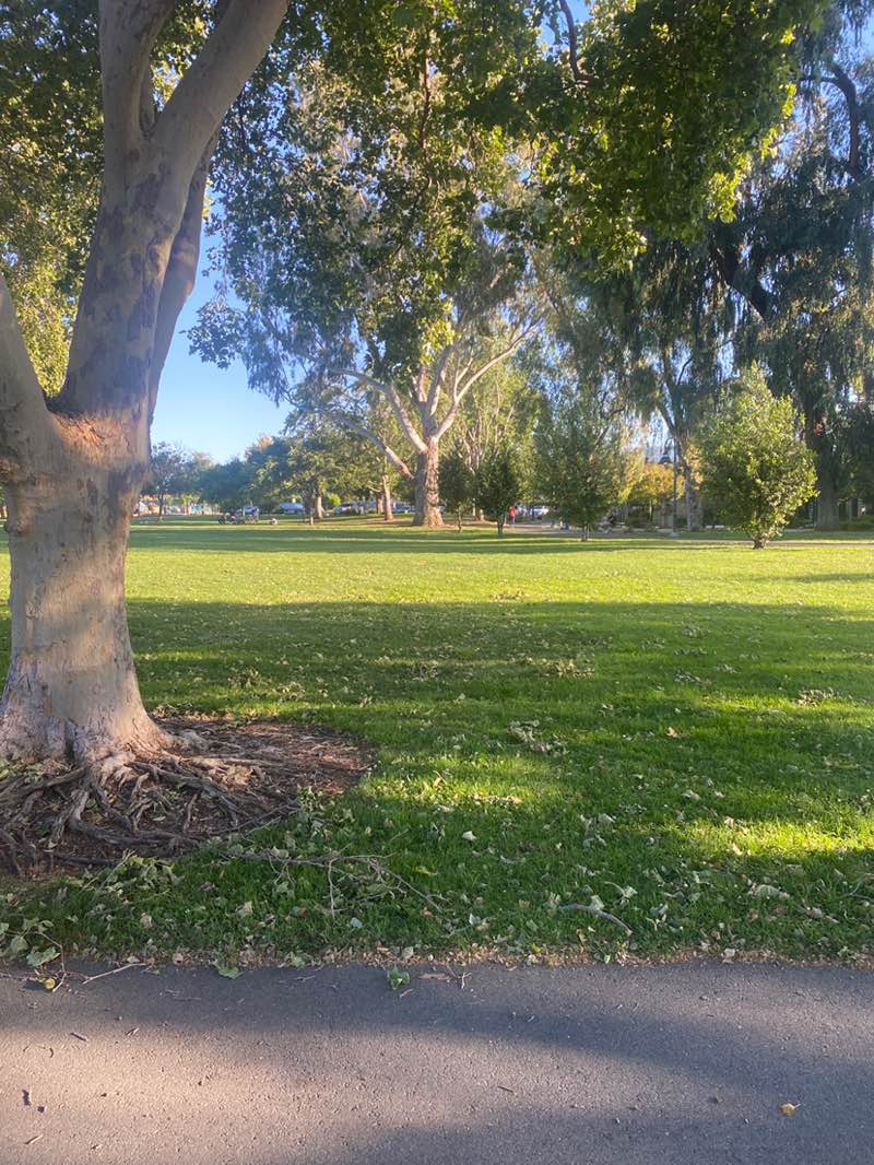 walking near me in Rengstorff Park in summer