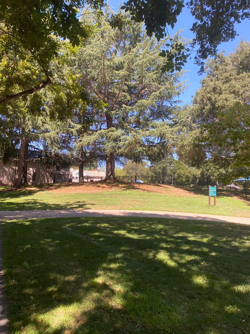 walking near me in Eagle Park in summer