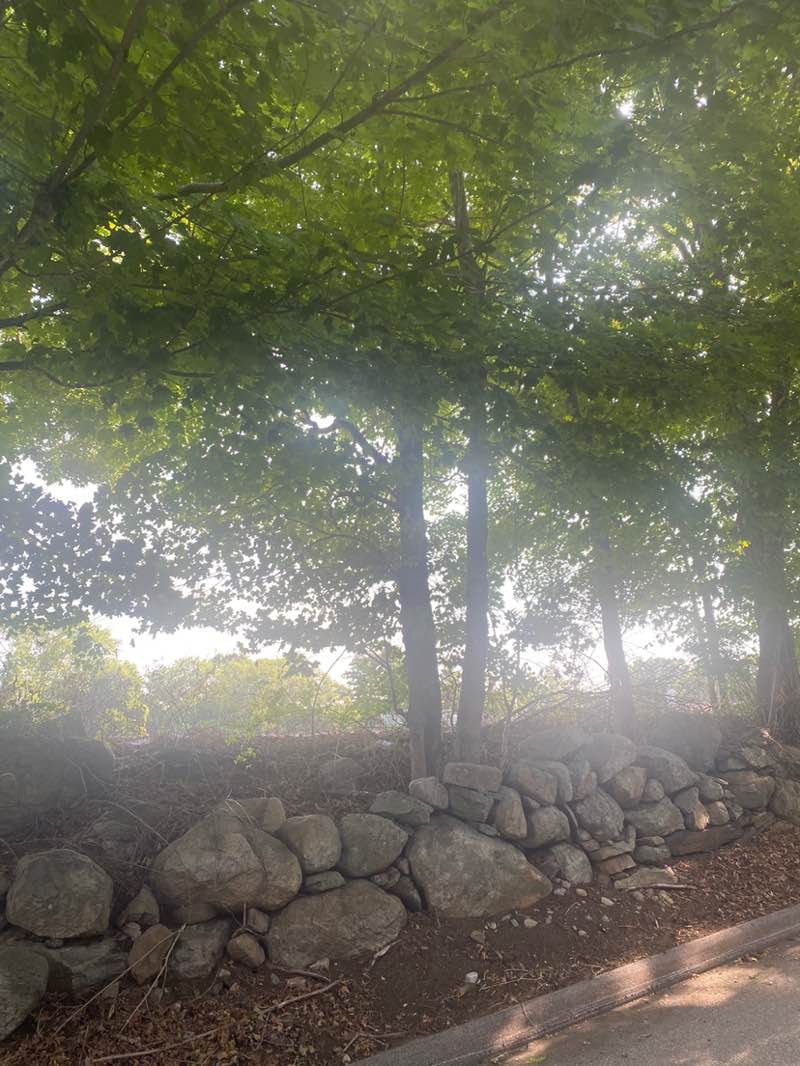 walking near me in Mystic Little League Field in summer