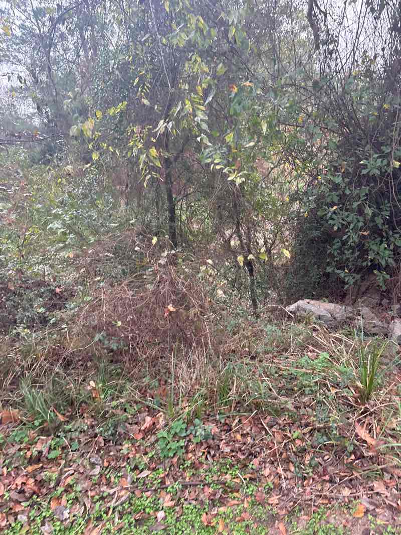 walking near me in Kickerillo-Mischer Preserve in winter