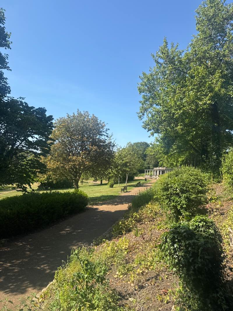 walking near me in Wensum Park in summer