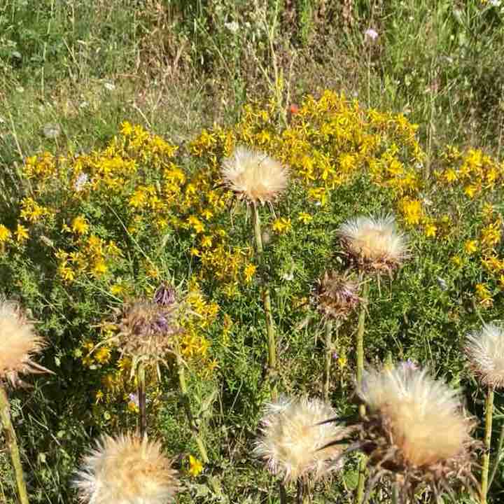 Nadia Caprice post 3