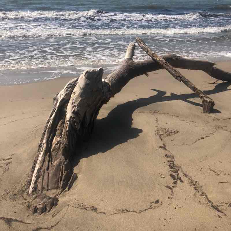 Nadia Caprice post 3