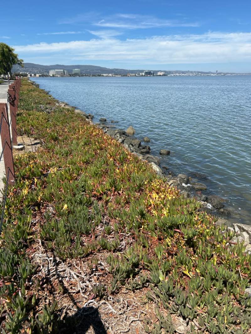 walking near me in Bayside Park in autumn