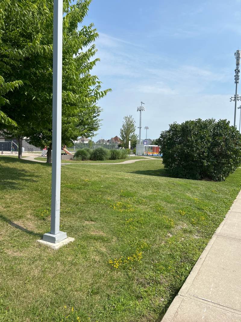 walking near me in Parc Frédéric-Coiteux in autumn