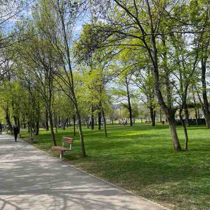Alexandru post 1