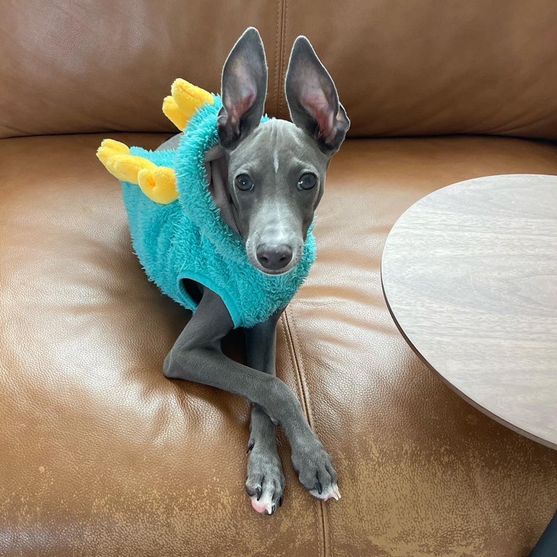 RAGERᒼᑋªⁿ♡*。