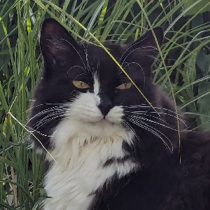 erc profile