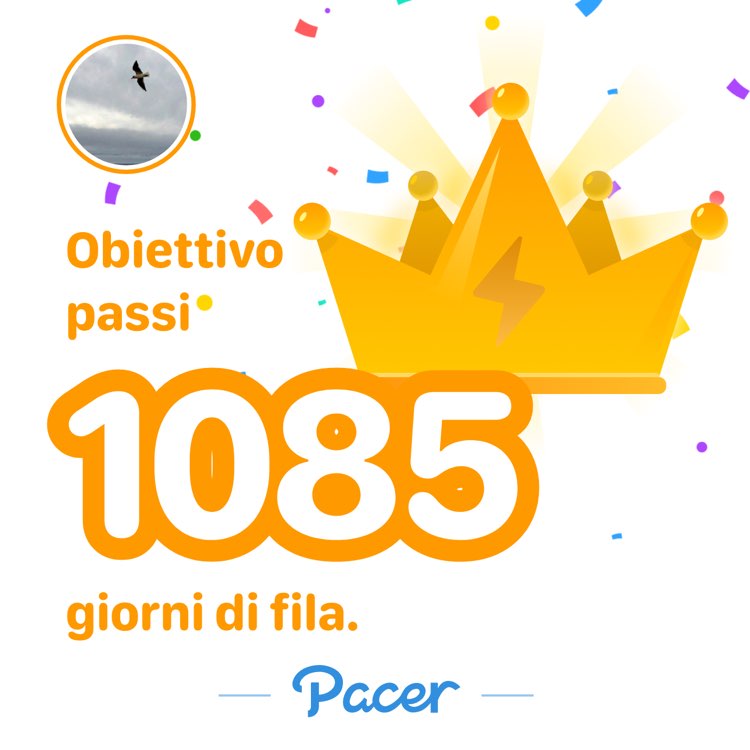 Camminare in buona compagnia...! Marcello post image