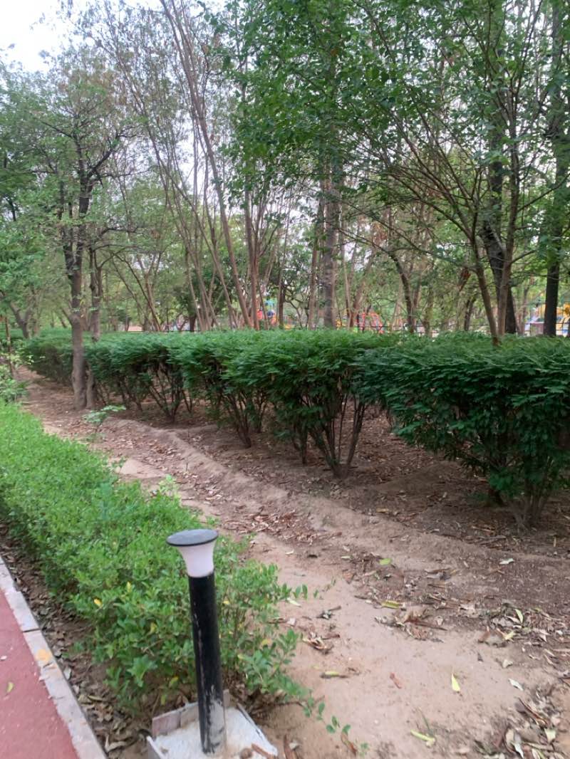 walking near me in Jawahar Circe in spring