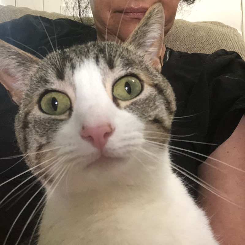 rubytoledo777 profile