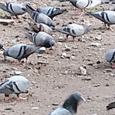 défie à relever🤪 DODDAIAH . E ಬೆಂಗಳೂರು post image