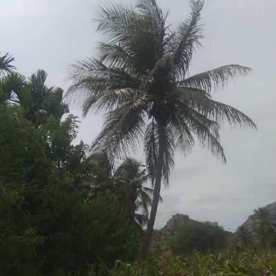 fabulosa y fit después de los 40 DODDAIAH . E ಬೆಂಗಳೂರು post image