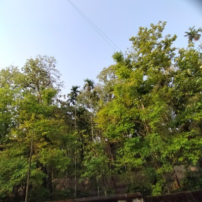 Friends of gatio_67 DODDAIAH . E ಬೆಂಗಳೂರು post image