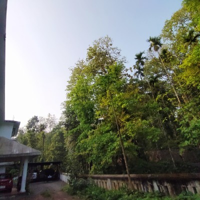 Friends of gatio_67 DODDAIAH . E ಬೆಂಗಳೂರು post image