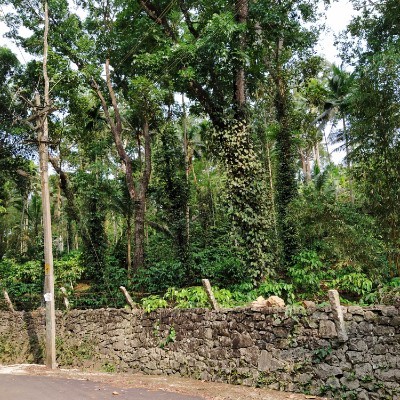 💀Metalhead & Rocker Walkers🤘🏼 DODDAIAH . E ಬೆಂಗಳೂರು post image