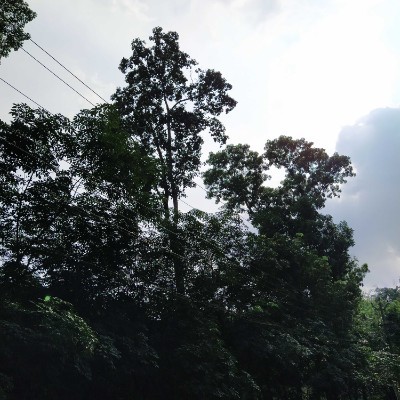 💀Metalhead & Rocker Walkers🤘🏼 DODDAIAH . E ಬೆಂಗಳೂರು post image