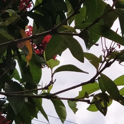 Friends of szef DODDAIAH . E ಬೆಂಗಳೂರು post image