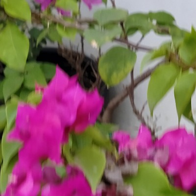 Mannheim DODDAIAH . E ಬೆಂಗಳೂರು post image