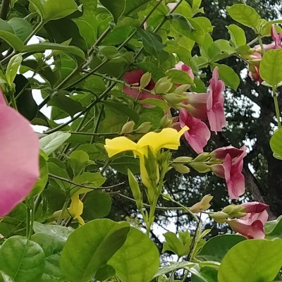 Friends of szef DODDAIAH . E ಬೆಂಗಳೂರು post image