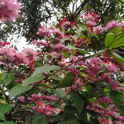 Friends of szef DODDAIAH . E ಬೆಂಗಳೂರು post image