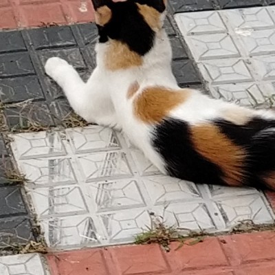 Friends of Morgan DODDAIAH . E ಬೆಂಗಳೂರು post image