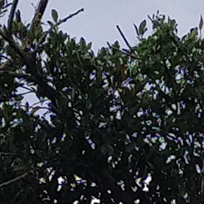 Friends of Morgan DODDAIAH . E ಬೆಂಗಳೂರು post image