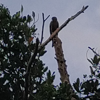 Friends of Morgan DODDAIAH . E ಬೆಂಗಳೂರು post image