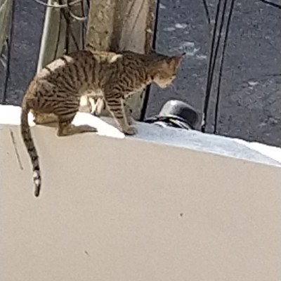 Friends of Morgan DODDAIAH . E ಬೆಂಗಳೂರು post image