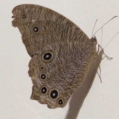 Happiness with Sport and Health DODDAIAH . E ಬೆಂಗಳೂರು post image