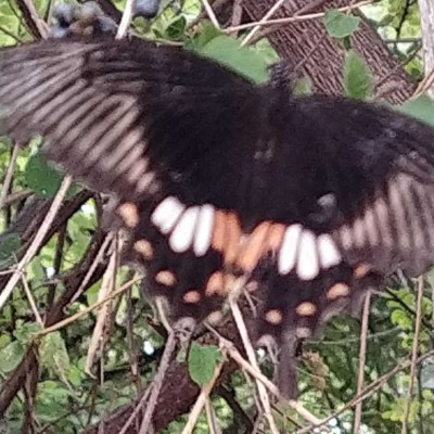 Happiness with Sport and Health DODDAIAH . E ಬೆಂಗಳೂರು post image