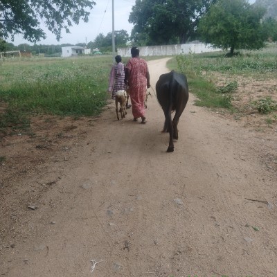 SUPERWALKERS DODDAIAH . E ಬೆಂಗಳೂರು post image