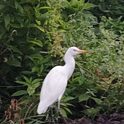 Amis de France 🏃🏽‍♀️‍➡️ DODDAIAH . E ಬೆಂಗಳೂರು post image