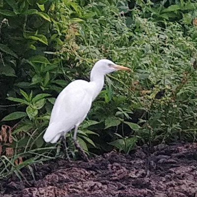 Amis de France 🏃🏽‍♀️‍➡️ DODDAIAH . E ಬೆಂಗಳೂರು post image