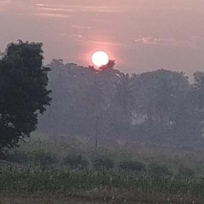 Just do it! 👊 DODDAIAH . E ಬೆಂಗಳೂರು post image