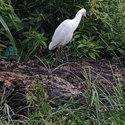 Amis de France 🏃🏽‍♀️‍➡️ DODDAIAH . E ಬೆಂಗಳೂರು post image