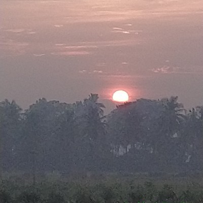 Just do it! 👊 DODDAIAH . E ಬೆಂಗಳೂರು post image