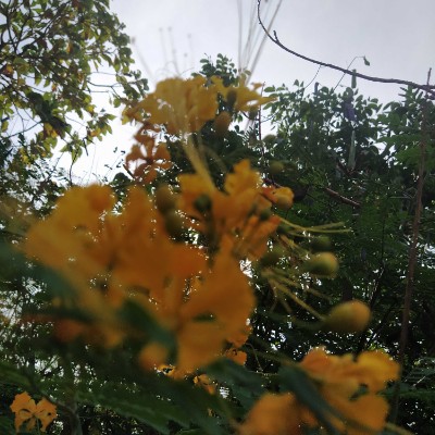 Mannheim DODDAIAH . E ಬೆಂಗಳೂರು post image