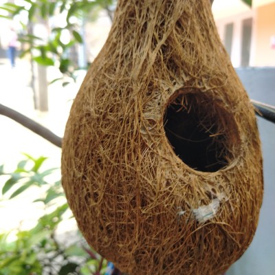 Family New DODDAIAH . E ಬೆಂಗಳೂರು post image