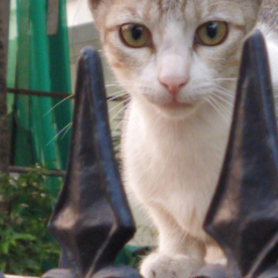 Happiness with Sport and Health DODDAIAH . E ಬೆಂಗಳೂರು post image