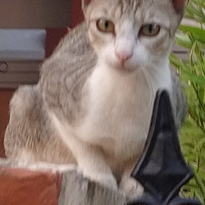 Happiness with Sport and Health DODDAIAH . E ಬೆಂಗಳೂರು post image