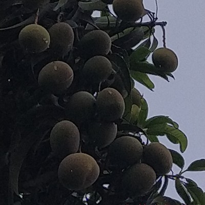 Happiness with Sport and Health DODDAIAH . E ಬೆಂಗಳೂರು post image