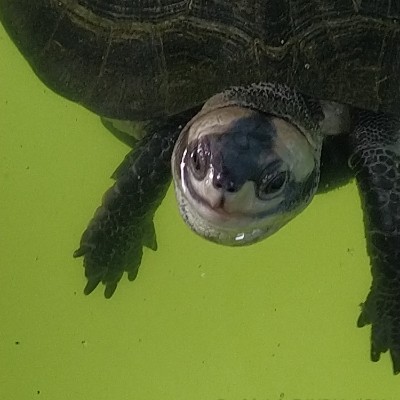 Family New DODDAIAH . E ಬೆಂಗಳೂರು post image